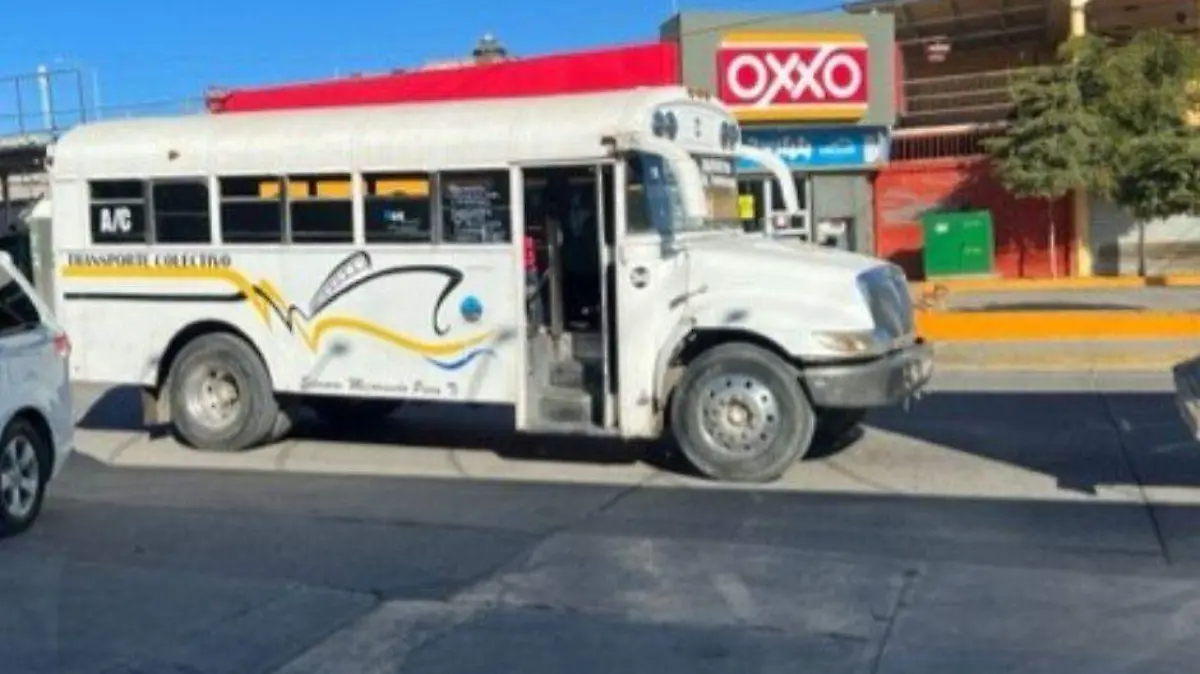 transporte publico los cabos